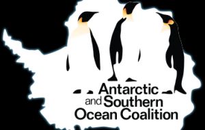 The Antarctic and Southern Ocean Coalition, has been campaigning to create a network of large marine protected areas in the region