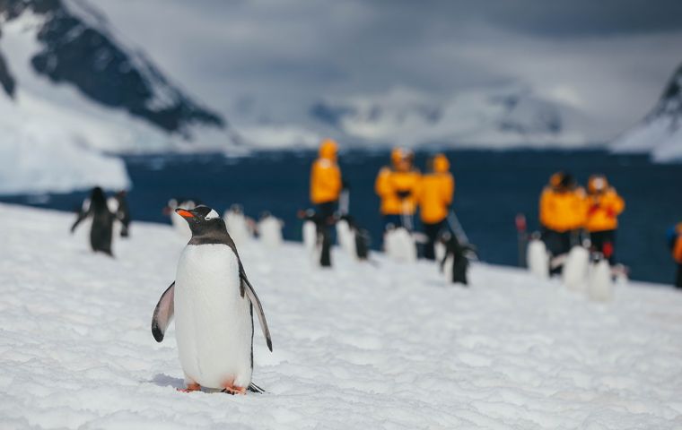 IAATO represents more than 100 Antarctic tour operators who are committed to minimizing the impact of travel to vulnerable Antarctica