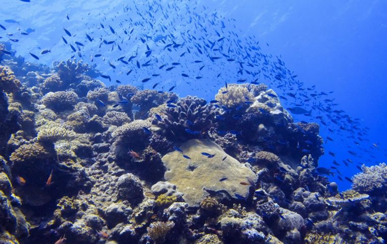New Caledonia plans to designate the area within the park as highly protected by the end of 2019, which would safeguard these waters from fishing
