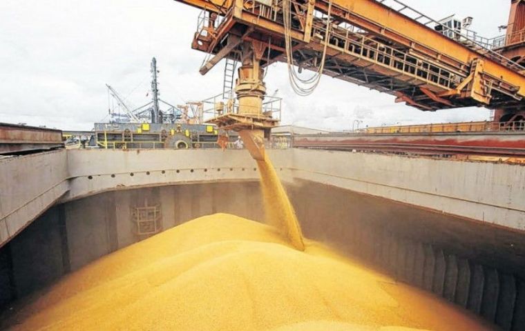 Worldwide output of coarse grains is forecast at 1 360 million tons, a 2.2 percent drop from 2017