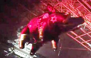 Shows in which Waters displays a pig with a Star of David also have irritated some Jewish global leaders.