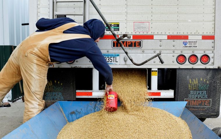 In order to feed its domestic soy-crushing industry, Argentina is increasingly turning to imports, especially after a drought earlier this year hurt crops