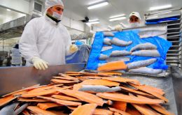 Salmon shipments to Asia have doubled in 2018, compared to the previous year