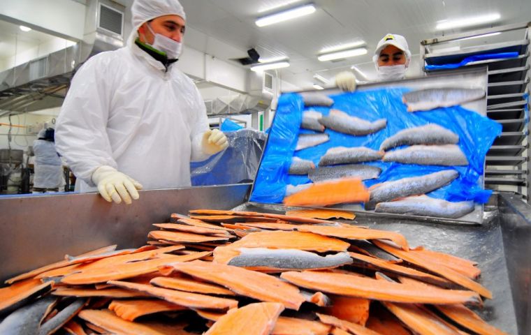 Salmon shipments to Asia have doubled in 2018, compared to the previous year