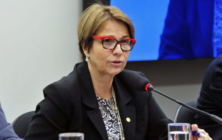 Tereza Cristina complained that the import of milk and rice was ruining small farms in Brazil 