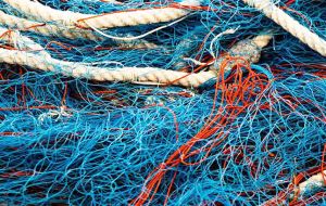 “Identifying the source of micro-plastics is difficult, but some of the fibers found in this study had the appearance of weathered fragments of ropes or fishing nets”  