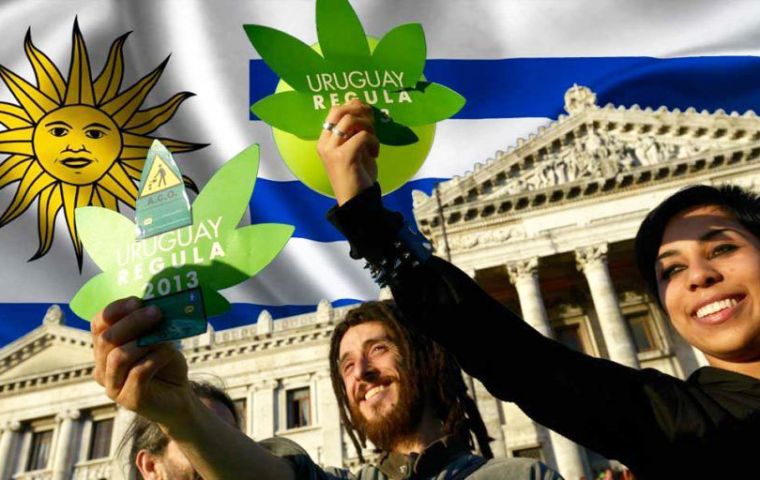 Uruguay was the first country to legalize marijuana in 2013. The legal sale of marijuana for recreational purposes began in July, 2017.
