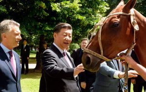 Argentine polo association gave the Chinese leader a polo horse. Argentina is home to the world's top polo players and horses