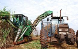 A shift to ethanol in the 2018-19 season slashed Brazil’s sugar output by 9 million tons to a 12-year low