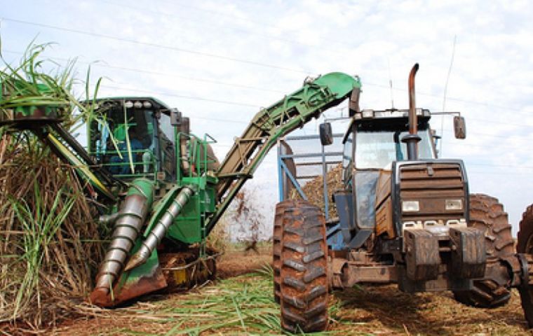 A shift to ethanol in the 2018-19 season slashed Brazil’s sugar output by 9 million tons to a 12-year low