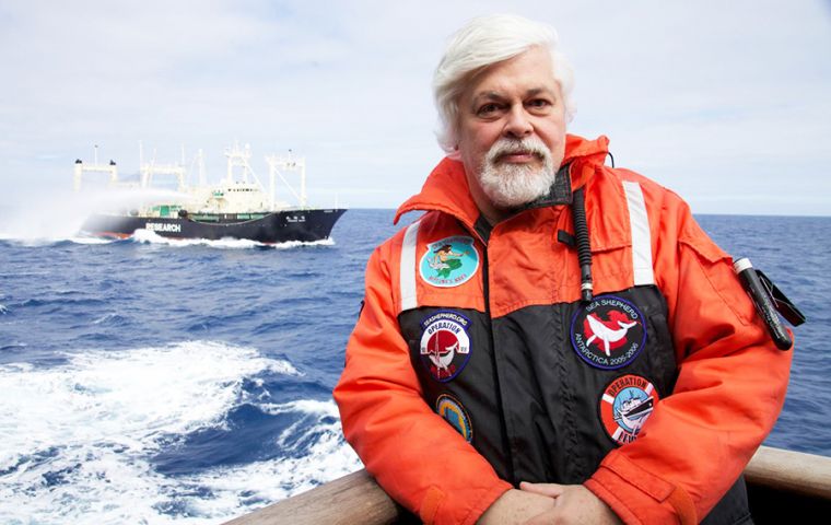 Marine conservationists Sea Shepherd “delighted to see the end of whaling in the Southern Ocean Whale Sanctuary”, said captain Paul Watson in a statement. 