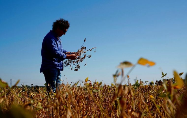 Drought was a major factor with an impact on the Argentine economy, since it affected agriculture's production volumes and yields.