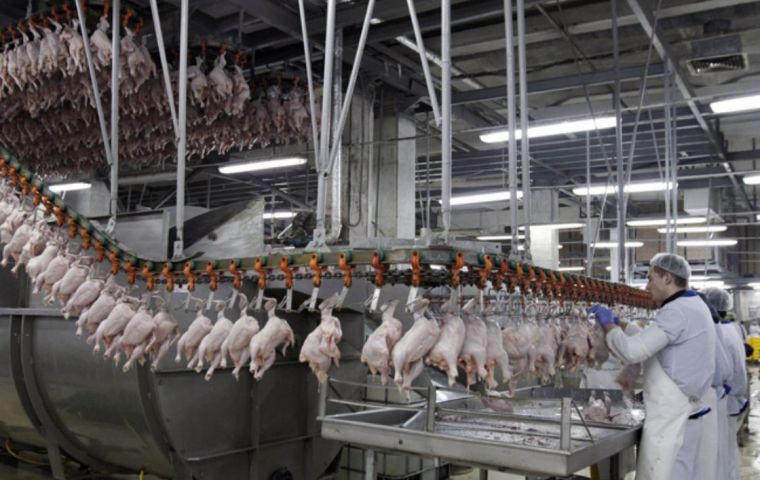 Europe banned 20 Brazilian chicken plants because of food safety concerns, while Russia froze imports of the country’s pork for nearly a year