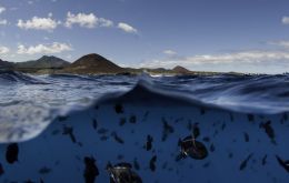 Ascension Island's: home to one of the largest and healthiest green turtle rookeries in the Atlantic and a million seabirds breed and forage on its shores