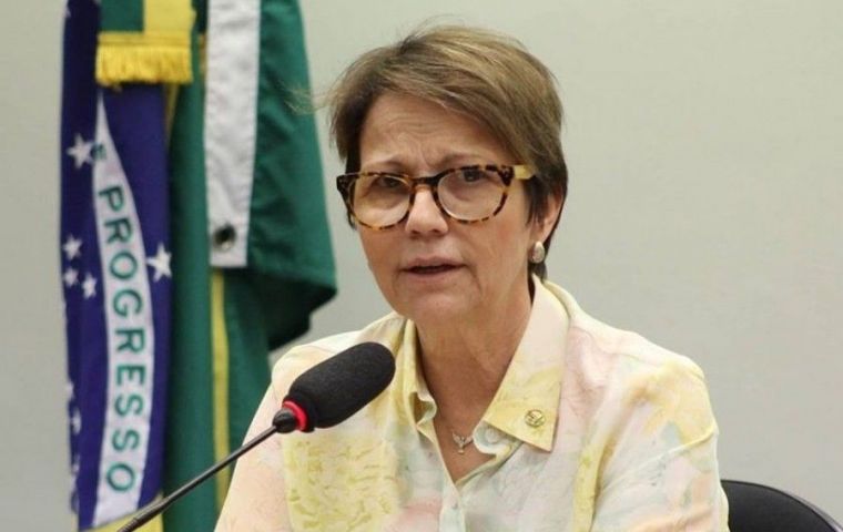 Tereza Cristina Dias said that Brazil's new business-friendly government plans to send draft legislation on self-monitoring to Congress in the first half of this year