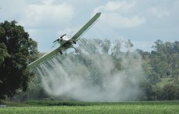 The issuance of new guidelines for glyphosate, which has been under re-evaluation since 2008, indicate that Brazil will likely permit continued use of the herbicide 