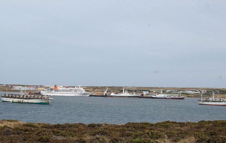  A busy day in Stanley harbour with tens of jiggers 