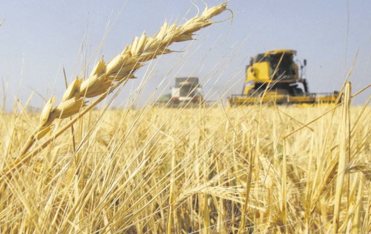 The area could reach up to 6.9 million hectares, which would be the fourth consecutive increase and a rise from 6.3 million hectares in the 2018/19 season