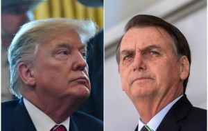 A Trump-Bolsonaro bond could see the leaders of the Americas' two most populous democracies working in concert on a range of regional issues.