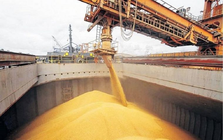 Brazil is considering granting an import quota of 750,000 metric tons of U.S. wheat per year without tariffs in exchange for other trade concessions