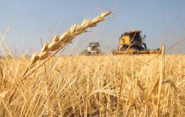 Wheat growers in Argentina's Pampas farm belt said if the deal was permanent, and not just a one-off, then it would certainly have a negative impact