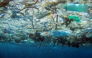 Marine litter has come under the spotlight because 85% of it is plastic. Most of the plastic items are the ten most found on EU beaches  