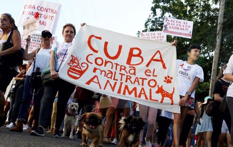 Accompanied by their pets, the activists carried placards calling for an animal protection law and chanted “down with animal abuse”