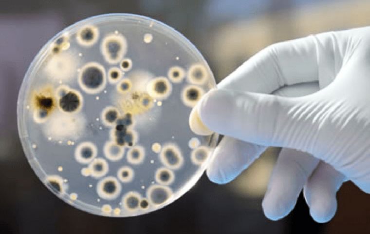 Mysterious And Dangerous Fungal Infection Candida Auris Has Emerged In 