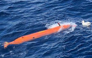 An albatross comes over to check out an AUV that has just been recoveredI(Pic by Julian Trincali and Pierre le Gal)