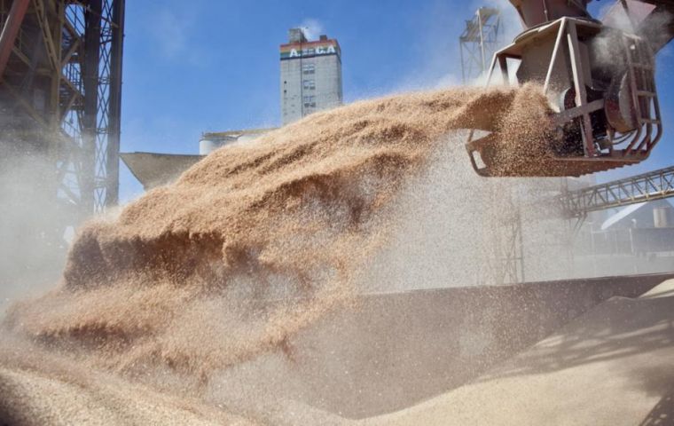 Argentina has also been pushing to export higher-margin domestically processed soy meal to China, though it has faced resistance from Beijing.