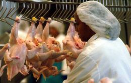 India's per capita chicken consumption is forecast to increase to 2.23 kilos in 2019, up from 2.18 kilos in the previous year, as personal income rise