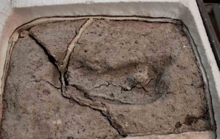 The footprint was first discovered in 2010 by a student at the Universidad Austral of Chile