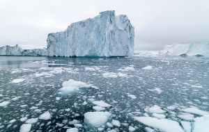 Scientists and environmental groups warn that the retreat of Arctic sea ice threatens polar bears and marine species, but also contributes to rising sea levels