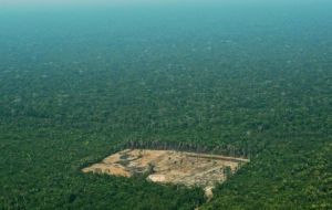 Bolsonaro on the campaign trail railed against what he has called “an industry” of environmental fines targeting farmers. (Pic: AFP)