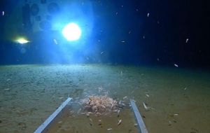 Vescovo, the Dallas-based co-founder of Insight Equity Holdings, found the manmade material on the ocean floor and is trying to confirm that it is plastic