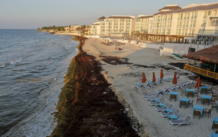 Mexico’s Riviera Maya Caribbean coast provides half the country’s tourism revenues, and very little sargassum reached it prior to 2014