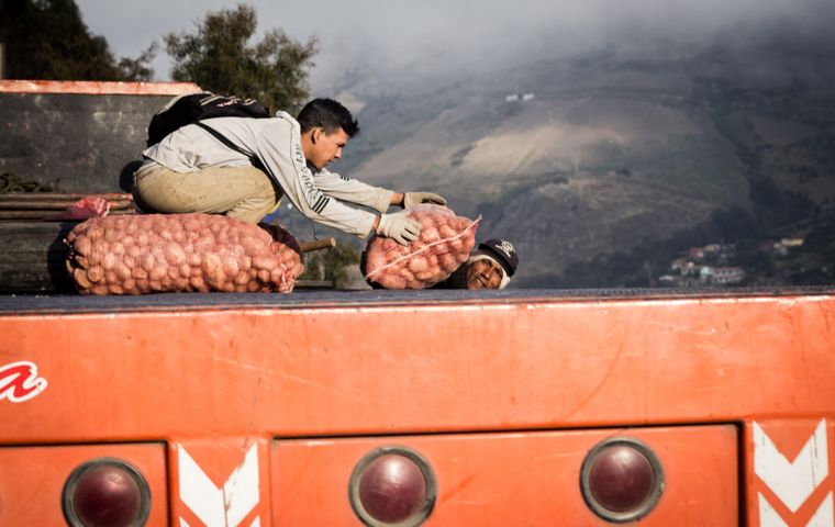 Farmers unload potato from a truck in the highlands of Mérida, Venezuela. Photo: Sebastián Astorga