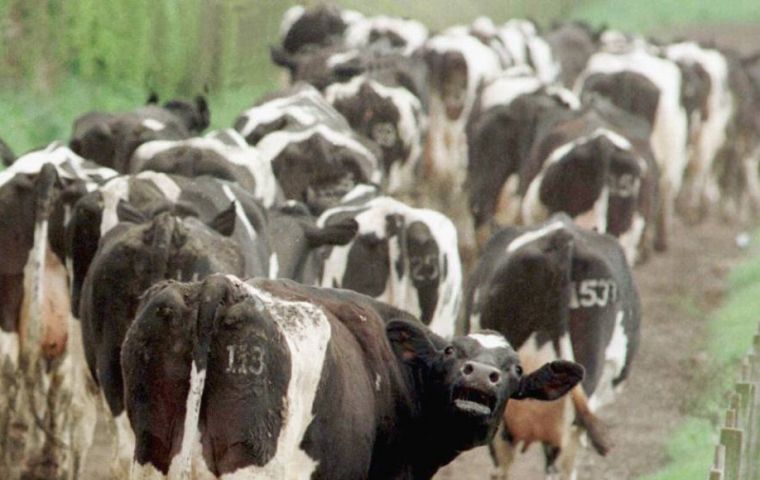 The Brazilian agriculture ministry on Friday reported the case of atypical mad cow disease in a 17-year-old cow in Mato Grosso state. 