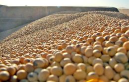 Higher soybean production in Argentina could lead to increased competition with Brazil, as China looks to South America for soybean purchases amid the ongoing US-China trade dispute.