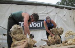 This weekend the team will be at the Highland show in Compton and in Le Dorat, France from July 4 until July 7,