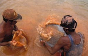 Police are investigating reports that a group of heavily-armed miners, on Friday overran a village in the same area of Amapa controlled by the Waiapi tribe