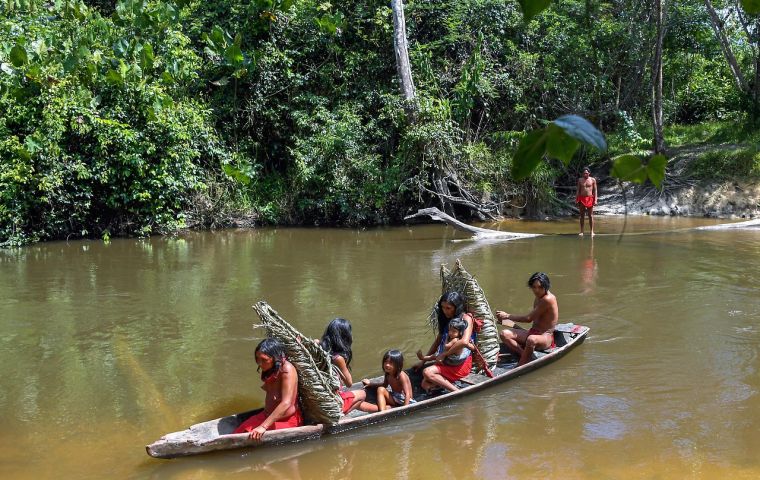Rich in gold, manganese, iron and copper, the Waiapi's territory is deep inside the Amazon, which has faced growing pressure from miners, ranchers and loggers
