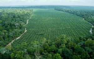 Brazil faces growing criticism over deforestation in the Amazon and heavy use of toxic farming products. This could create problems for the EU/Mercosur deal