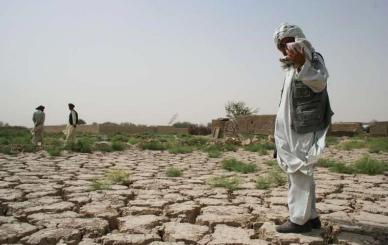 The report said global population growth and changes in consumption patterns have caused unprecedented rates of land and water use