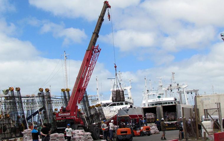 Squid landings in Mar del Plata reached 33.000 tons, quite a drop from the 58.000 of last year, but hubbsi catches helped to keep the overall volume ahead this year (Pic Pescare.com)