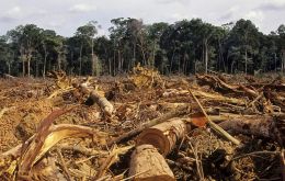 Norway has worked closely with Brazil to protect the Amazon rainforest for more than a decade, and has paid some US$ 1.2 billion to the Amazon Fund