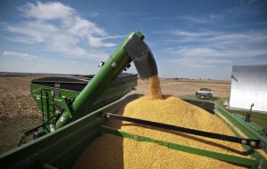 Farmers are also frustrated about unsold crops due to the trade war with China, falling farm income and tighter credit conditions
