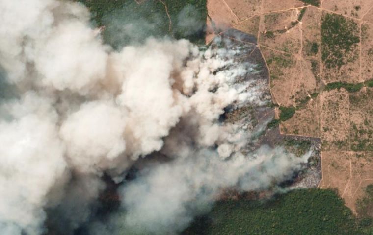 The latest official figures show 76,720 forest fires were recorded in Brazil so far this year, the highest number for any year since 2013