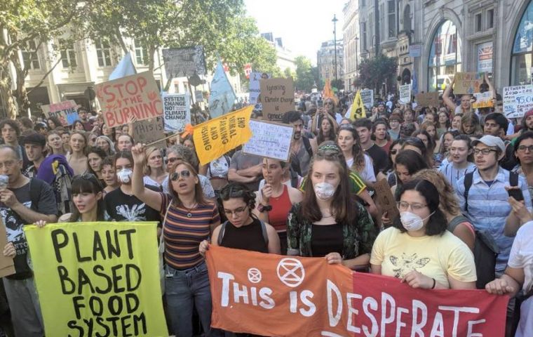 Hundreds gathered opposite the Brazil London embassy, unfurling signs reading “Stop Destruction Now”, “Save Our Planet” and “I Want You To Panic”.