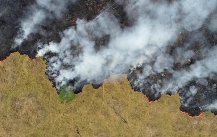 “We must respond to the call of the forest which is burning today in the Amazon,” France's Emmanuel Macron said'